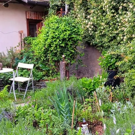 La Marmotta 3*