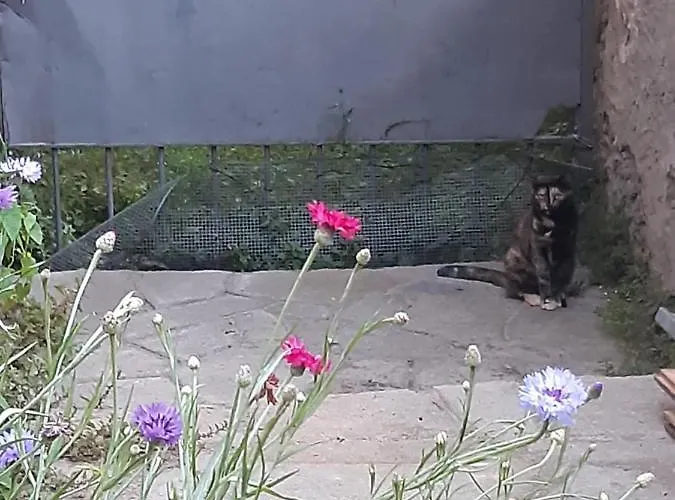 La Marmotta