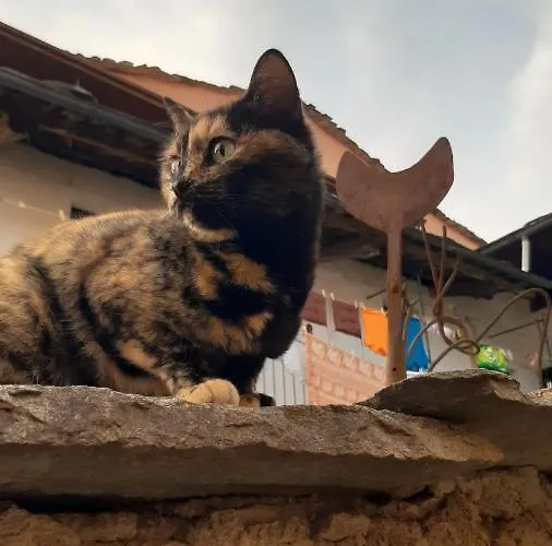 Pensión La Marmotta Luserna San Giovanni