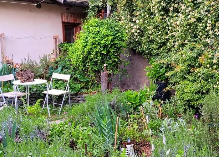La Marmotta 3*